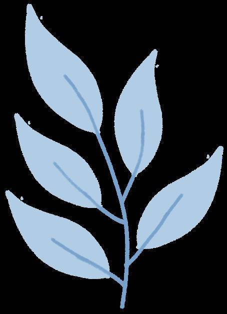 五五策略 刚刚，湖北征集志愿公告发布