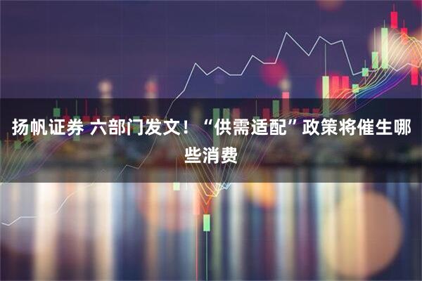 扬帆证券 六部门发文！“供需适配”政策将催生哪些消费