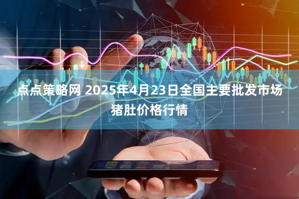 点点策略网 2025年4月23日全国主要批发市场猪肚价格行情